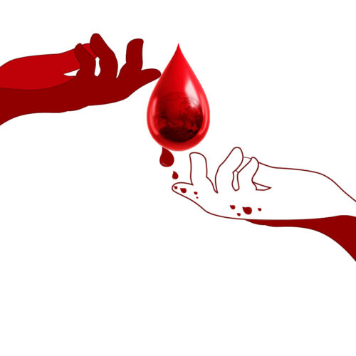 World Blood Donor Day 2025: A Lifeline in Every Drop
